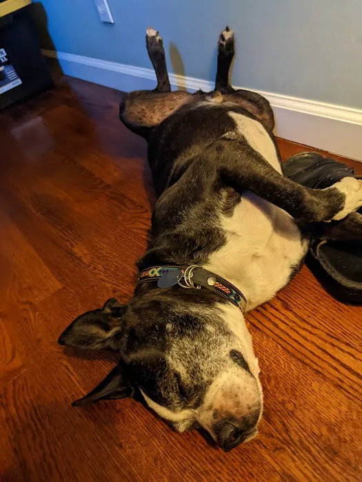 Euclid-Walnut Pet Clinic Picture 1