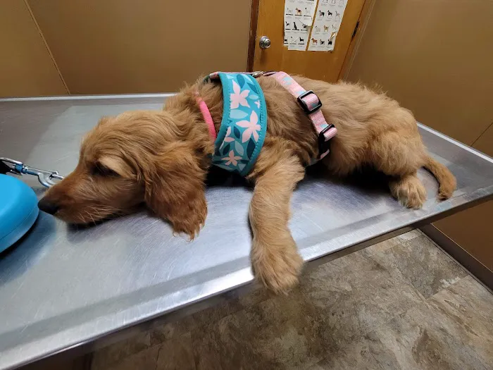 Euclid-Walnut Pet Clinic Picture 8
