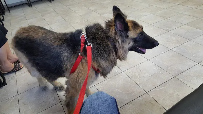 Ontario Veterinary Hospital Picture 7