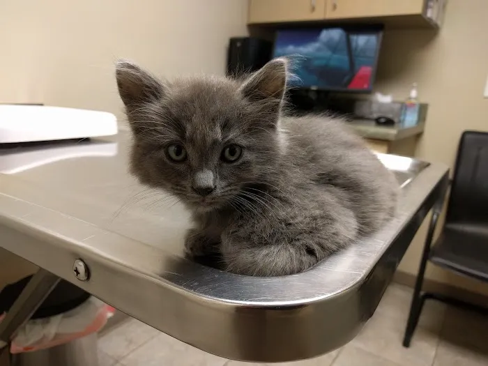 Ontario Veterinary Hospital Picture 9