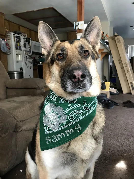 Euclid Veterinary Hospital Picture 6