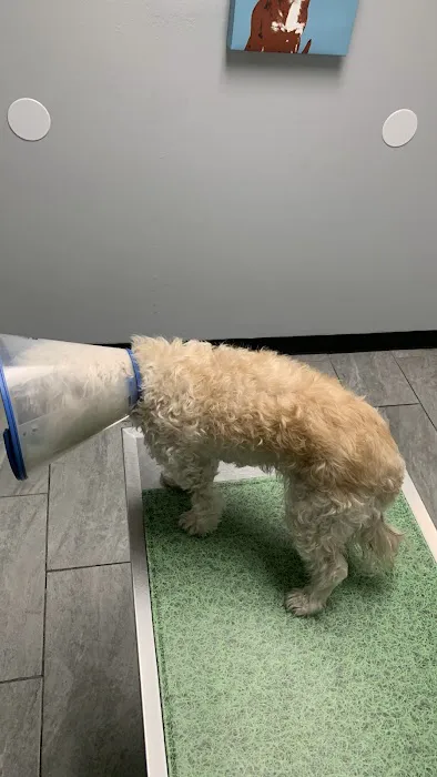 Euclid Veterinary Hospital Picture 4