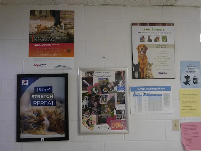 Euclid Veterinary Hospital Picture 9