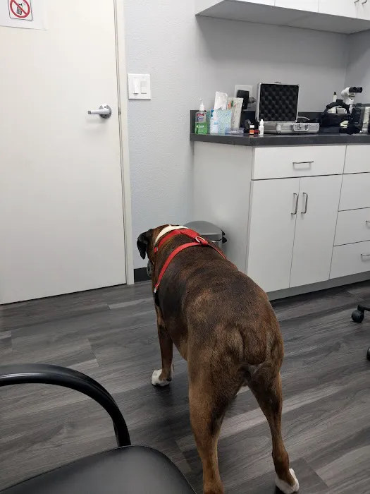Eye Care for Animals - Upland Picture 1