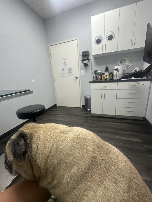Eye Care for Animals - Upland Picture 3