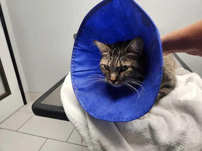 We Talk Pets! Animal Hospital Picture 6