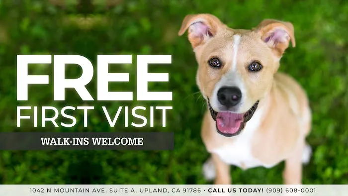 We Talk Pets! Animal Hospital Picture 12