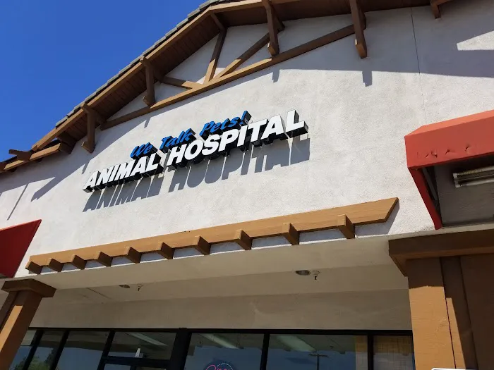 We Talk Pets! Animal Hospital Picture 11