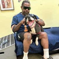 Therapaws ico