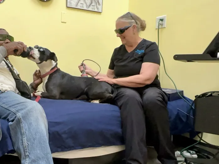 Therapaws Picture 2