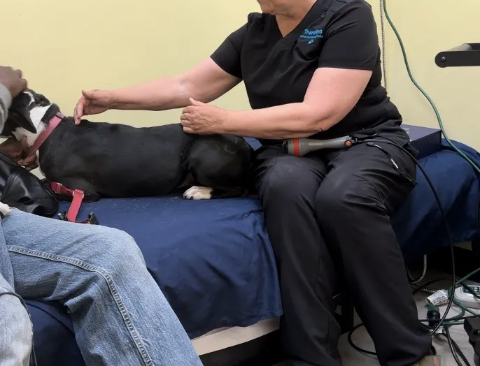 Therapaws Picture 3