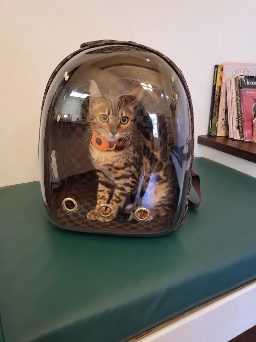 Moraga Veterinary Hospital Picture 5