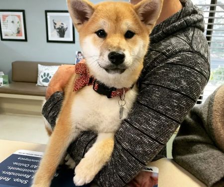 VCA Contra Costa Animal Hospital