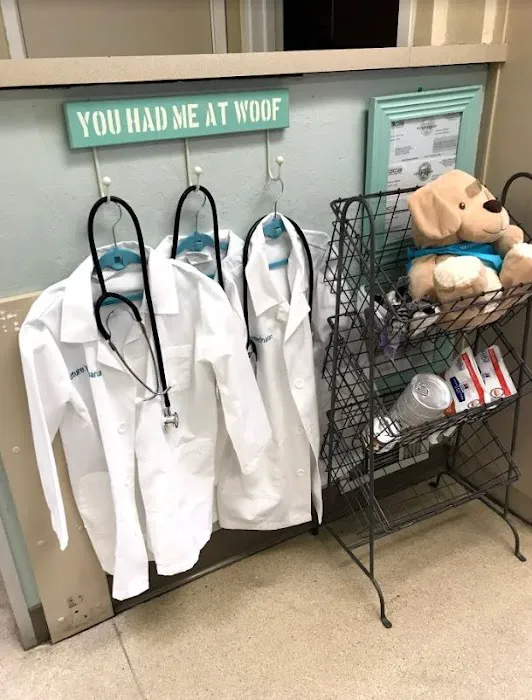 VCA Contra Costa Animal Hospital Picture 2