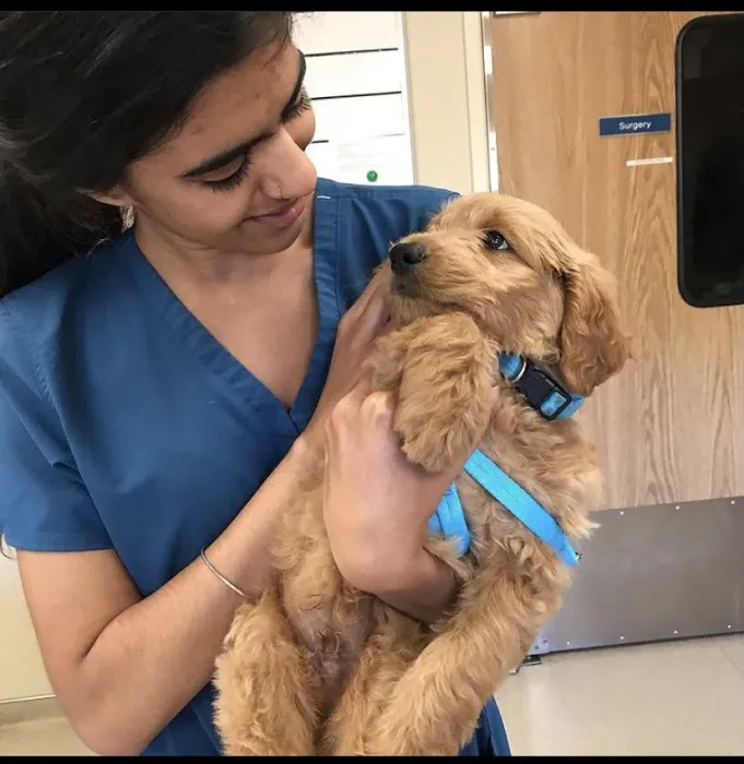 VCA Contra Costa Animal Hospital Picture 4