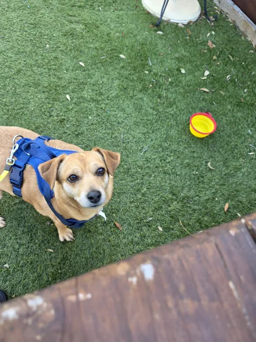 Neighborhood Vet Care Picture 5