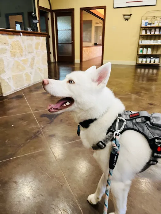Windmill Veterinary Center Picture 3