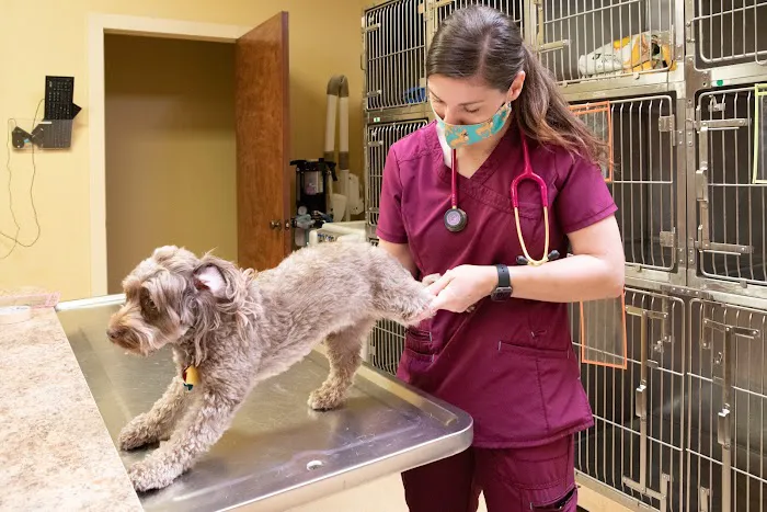 Windmill Veterinary Center Picture 4