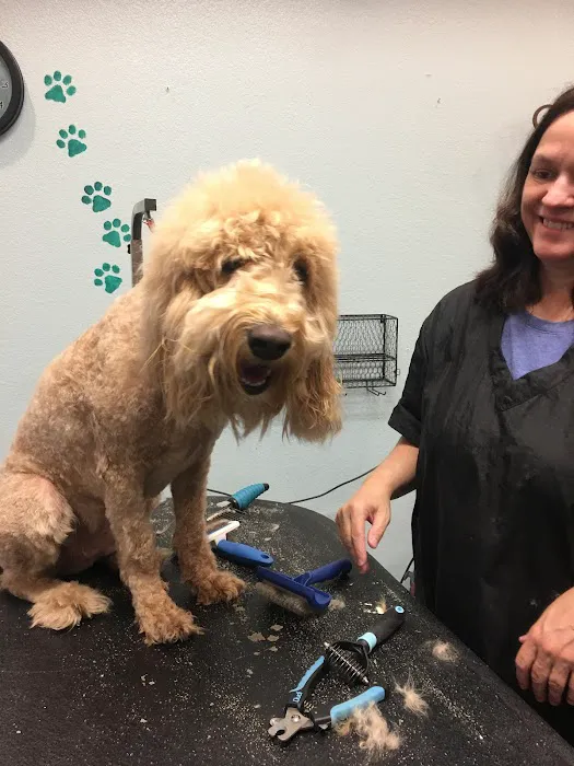 Windmill Veterinary Center Picture 2