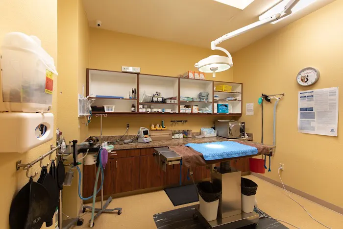 Windmill Veterinary Center Picture 6