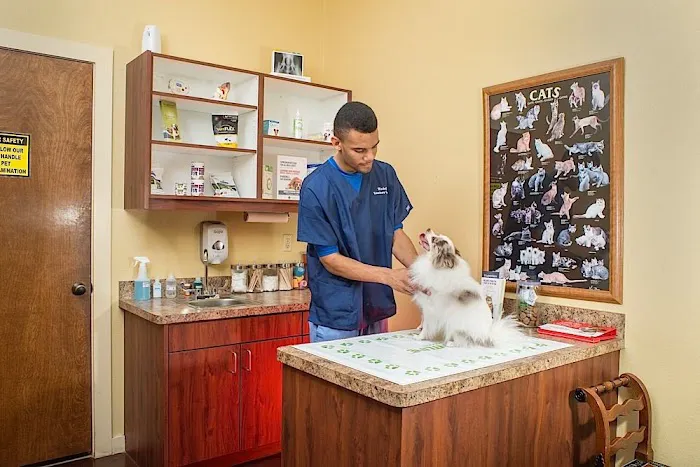 Windmill Veterinary Center Picture 8