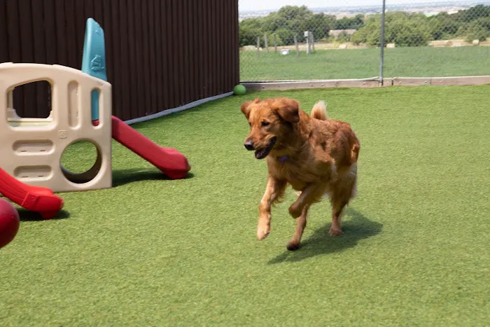 Windmill Veterinary Center Picture 10