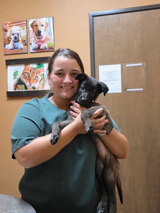 Prosper Pet Clinic Picture 4