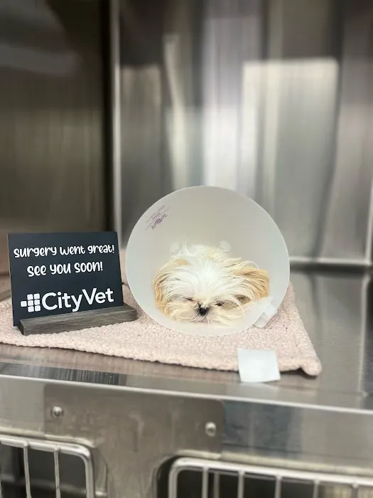 CityVet | Celina Crossing Picture 4