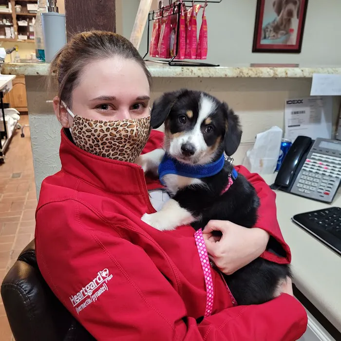 Chastain Veterinary Medical Group Picture 2