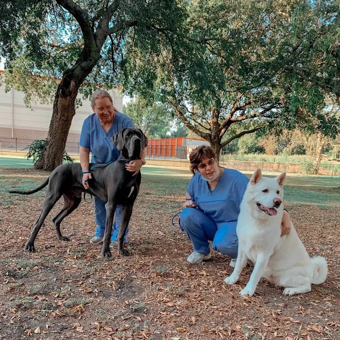 Chastain Veterinary Medical Group Picture 8