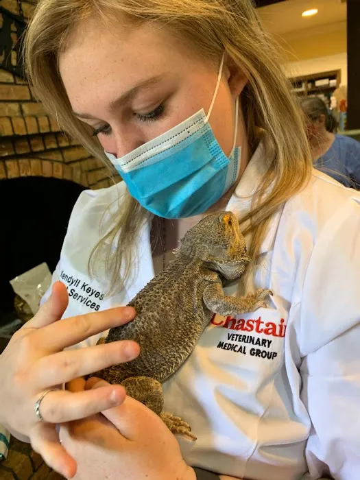 Chastain Veterinary Medical Group Picture 5