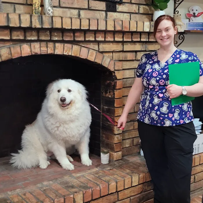 Chastain Veterinary Medical Group Picture 9