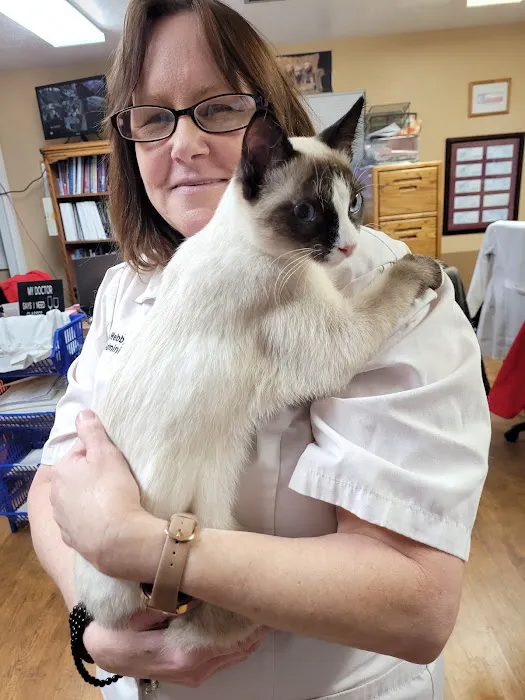 Chastain Veterinary Medical Group Picture 10
