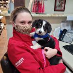 Meadow Brook Animal Hospital