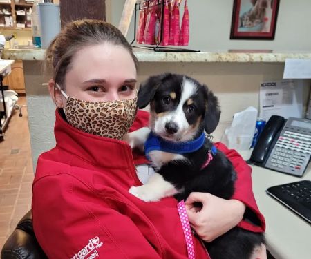 Meadow Brook Animal Hospital
