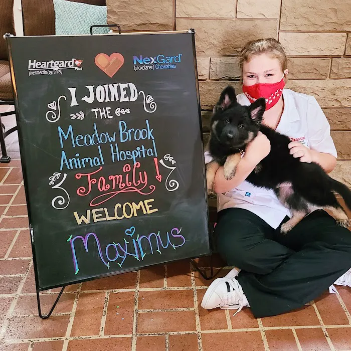 Meadow Brook Animal Hospital Picture 2