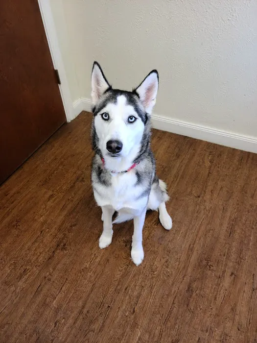 Meadow Brook Animal Hospital Picture 9