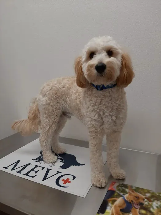 McKinney Emergency Veterinary Clinic Picture 1