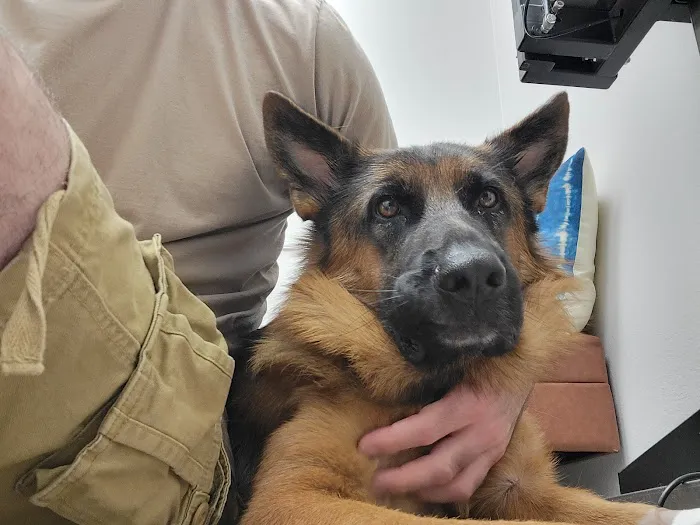 McKinney Emergency Veterinary Clinic Picture 9