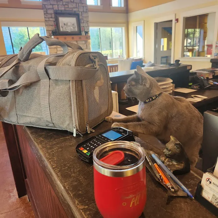 Animal Care Center at Stonebridge Ranch Picture 8