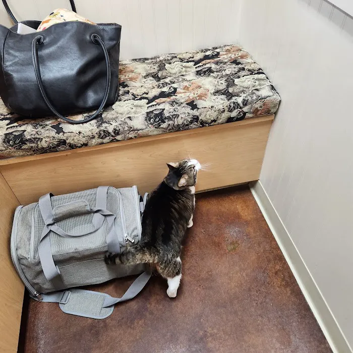 Animal Care Center at Stonebridge Ranch Picture 7