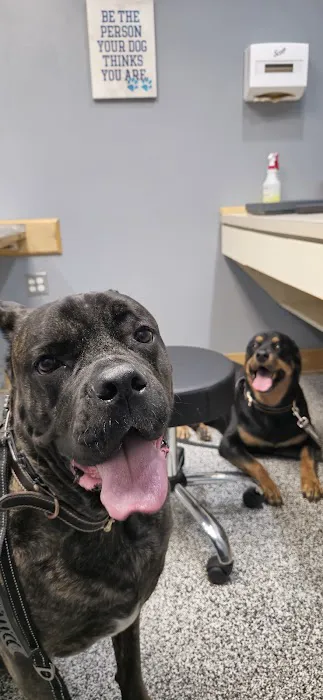Cross Timbers Veterinary Center & Boarding Facility Picture 2