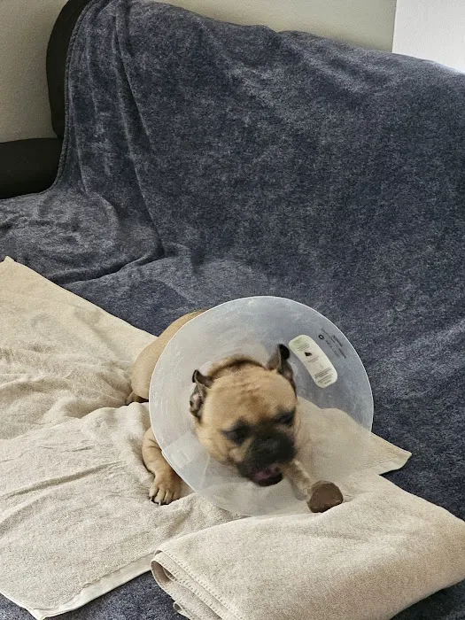 Cross Timbers Veterinary Center & Boarding Facility Picture 6