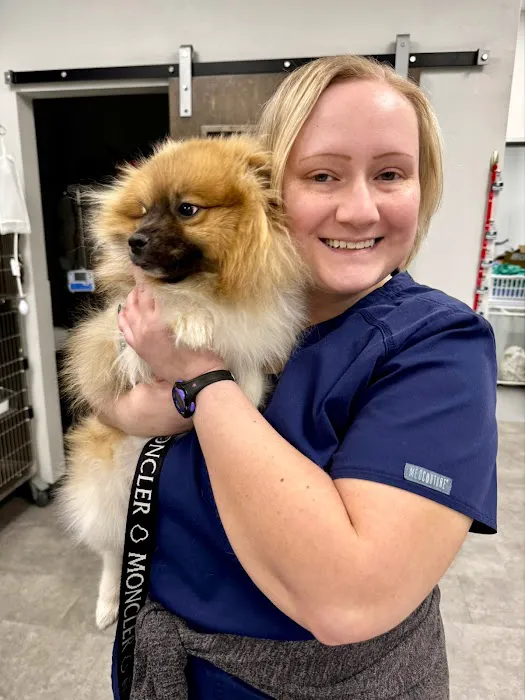 Petvise Animal Hospital Picture 3