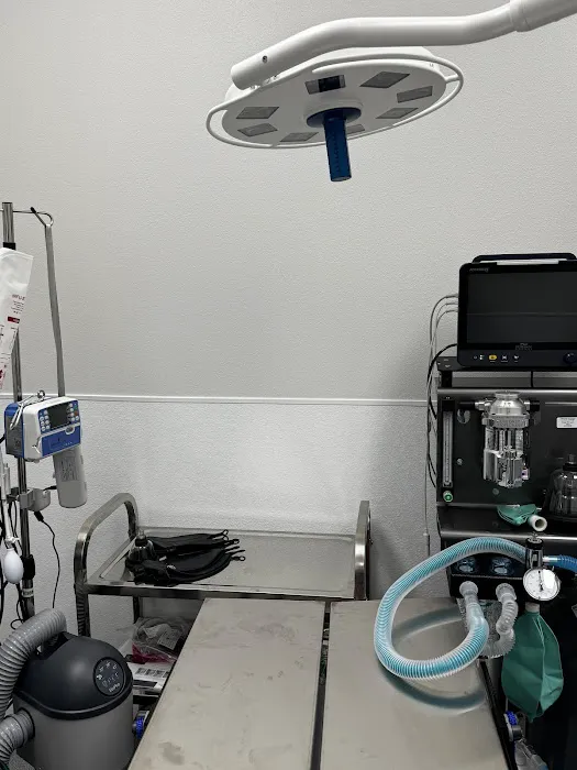 Petvise Animal Hospital Picture 5
