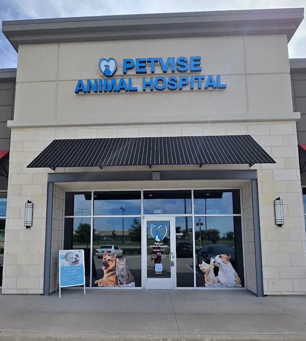 Petvise Animal Hospital Picture 6
