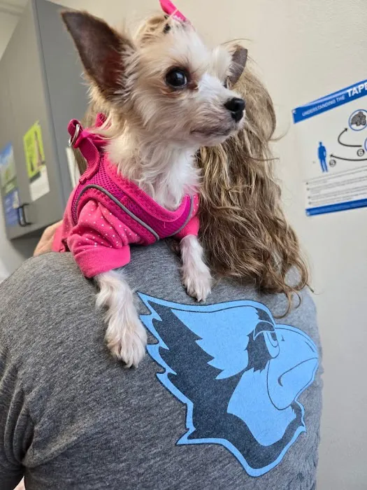 Petvise Animal Hospital Picture 10