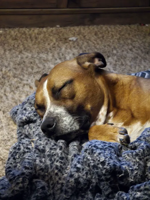 Legacy Humane Veterinary Clinic Picture 4