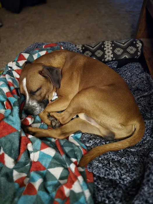 Legacy Humane Veterinary Clinic Picture 7