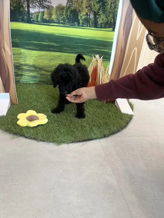 Chewy Vet Care McKinney Picture 1